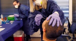 Certificati Covid falsi per salire l’aereo, risponde il centro analisi