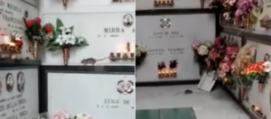 Topi nel cimitero di San Giovanni a Teduccio
