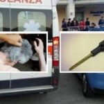 Torre del Greco, uccide la mamma con un cacciavite