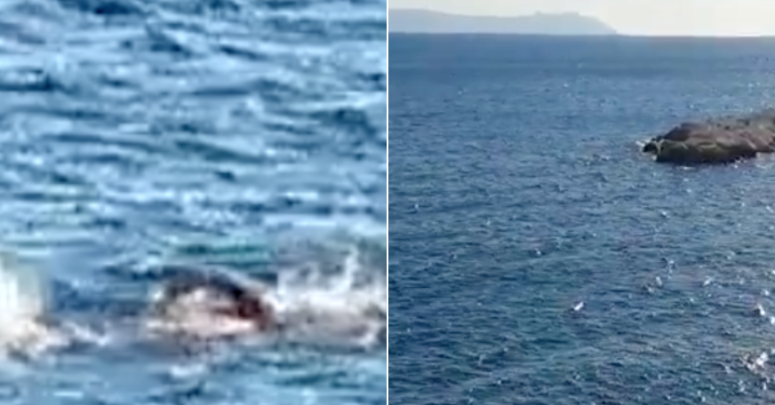 Uomo si tuffa in mare e fa il bagno