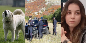 amico simona cavallaro