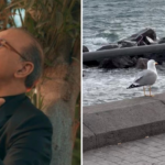 gianni celeste povero gabbiano