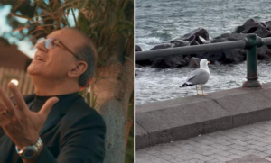 gianni celeste povero gabbiano