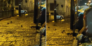 invasione di topi napoli
