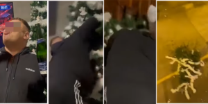 lancia albero finestra capodanno video