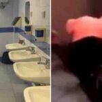 picchiata scuola a melito