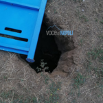 voragine villa comunale 1