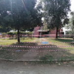 voragine villa comunale 1