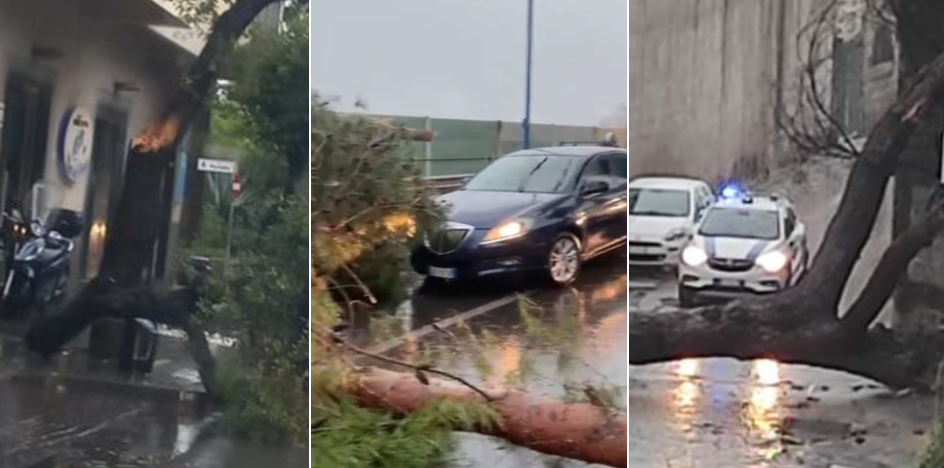 Cadono alberi a Napoli