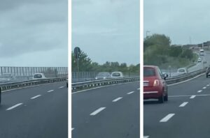 Follia sull'Asse Mediano