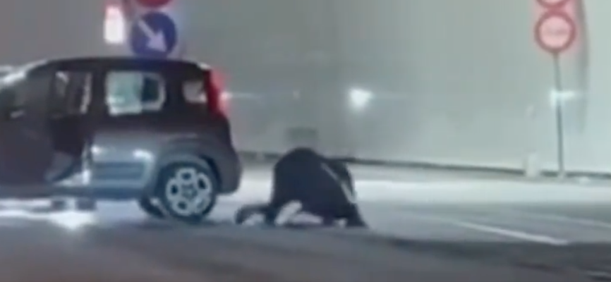 Lite davanti alla galleria a Napoli