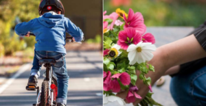 Porta un fiore sulla tomba della nonna