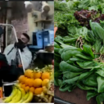 Psicosi mandragora a Napoli: "State attenti anche a queste verdure.