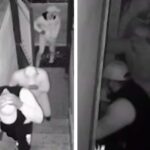 Rubano a casa di un morto