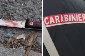 Accoltella la moglie