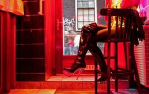 polla casa appuntamenti