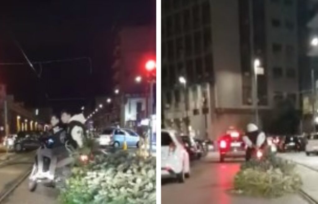 Rubano albero Natale