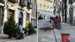 Rubati gli alberi di Natale in via Calabritto