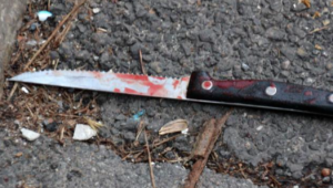 Madre accoltella figlio