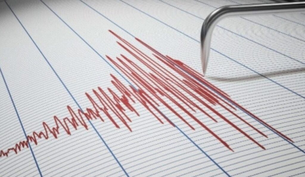 scossa terremoto area flegrea