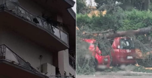 Albero si abbatte su palazzo nel rione San Tommaso
