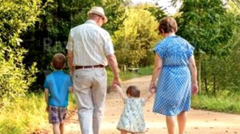 La decisione della Cassazione sui nonni