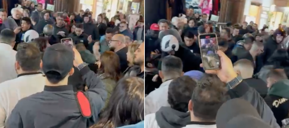 Barboncino azzannato da un pitbull alla Pignasecca