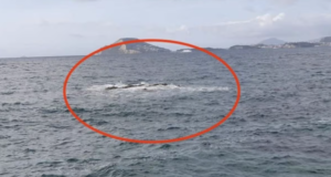 Scogli emersi nel golfo di Pozzuoli