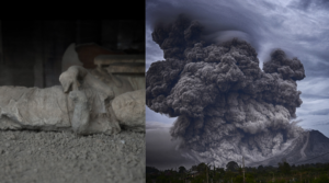eruzione vesuvio studio morte vittime ercolano