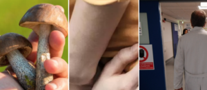 Mangiano funghi avvelenati raccolti al Monaldi