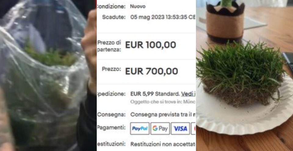 Rubano zolle di terreno del campo dell'Udinese e le rivendono su internet a 700 euro