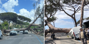 pino cade a posillipo