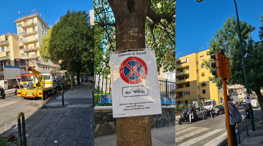 caos vomero via altamura