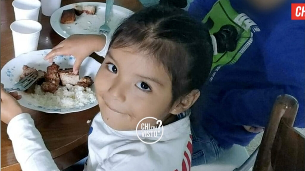 piccola kata aggiornamenti chi l'ha visto